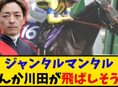 【マイルCS】「ジャンタルマンタル 1番人気もなんか川田が飛ばしそうでヤバい…」に対するみんなの反応【反応集】