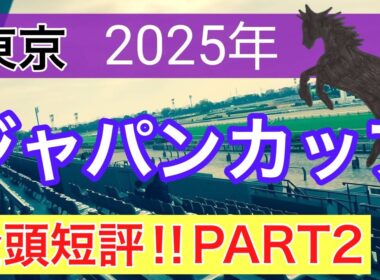 【ジャパンカップ2025】蓮の競馬予想(全頭短評PART2)