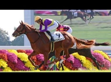 🔥「赤い新星」コスモレッド、衝撃の新馬V！阪神JFへ直行で女王の座を狙う👑