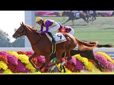 🔥「赤い新星」コスモレッド、衝撃の新馬V！阪神JFへ直行で女王の座を狙う👑