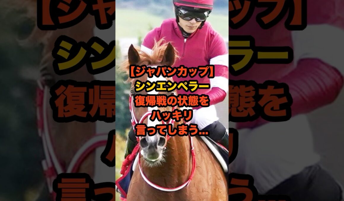 ジャパンカップ復帰戦！シンエンペラーの状態に陣営が本音を明かす…#ジャパンカップ #競馬 #シンエンペラー #ジャパンC