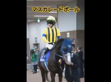 天皇賞・秋2025出走馬#マスカレードボール#ジャスティンパレス#ソールオリエンス#タスティエーラ