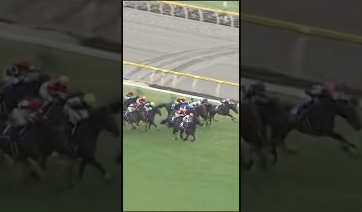 #ジャパンカップ #JC #G1 #競馬予想 #カランダガン #クロワデュノール #マスカレードボール #ジャスティンパレス #競馬