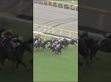 #ジャパンカップ #JC #G1 #競馬予想 #カランダガン #クロワデュノール #マスカレードボール #ジャスティンパレス #競馬