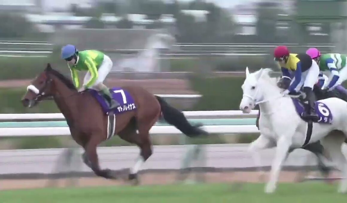 2020年 第72回 阪神ジュベナイルフィリーズ(ソダシ、吉田隼人)