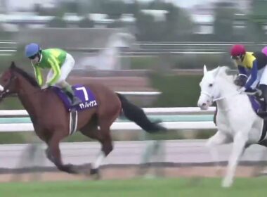 2020年 第72回 阪神ジュベナイルフィリーズ(ソダシ、吉田隼人)