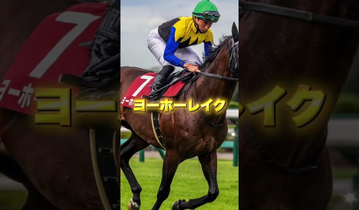 G1ジャパンカップの穴馬を3頭紹介＃競馬＃競馬予想＃ブレイディヴェーグ＃ヨーホーレイク＃ジャスティンパレス