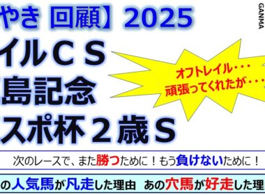 【ぼやき回顧】マイルチャンピオンシップ＆福島記念＆東京スポーツ杯2歳ステークス＜2025＞