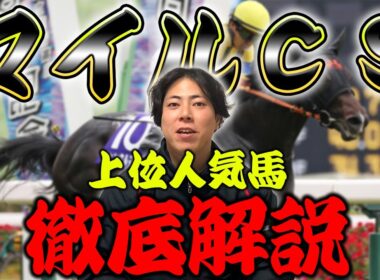 【マイルCS 2025】上位人気馬徹底解説！人気馬でだれが危険か教えます