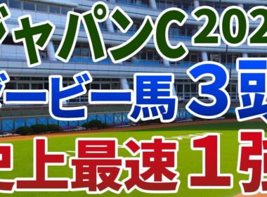 ジャパンカップ2025【絶対軸1頭】公開！サンライズアースの逃げなら即決！クロワデュノールより信頼できる１強は？