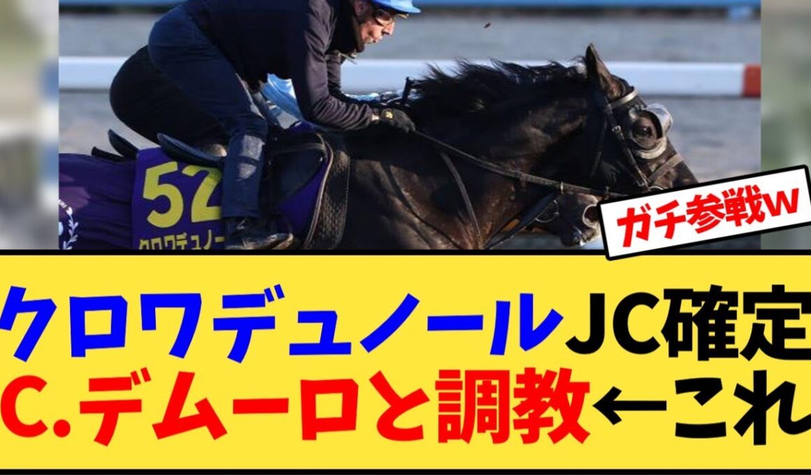【ジャパンカップ】クロワデュノールJC確定、C.デムーロと調教←これ【競馬反応集】