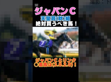 【ジャパンカップ2025】天皇賞(秋)組から絶対買うべき馬！○着馬は(3.0.2.0)とパーフェクト！ #ジャパンカップ #競馬予想 #マスカレードボール