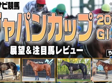 【ジャパンカップ】内枠有利はホント？天皇賞・秋での好走馬が最注目！ダノンデサイル マスカレードボール クロワデュノール カランダガン ジャスティンパレス サンライズアース【レース展望／スポナビ競馬】