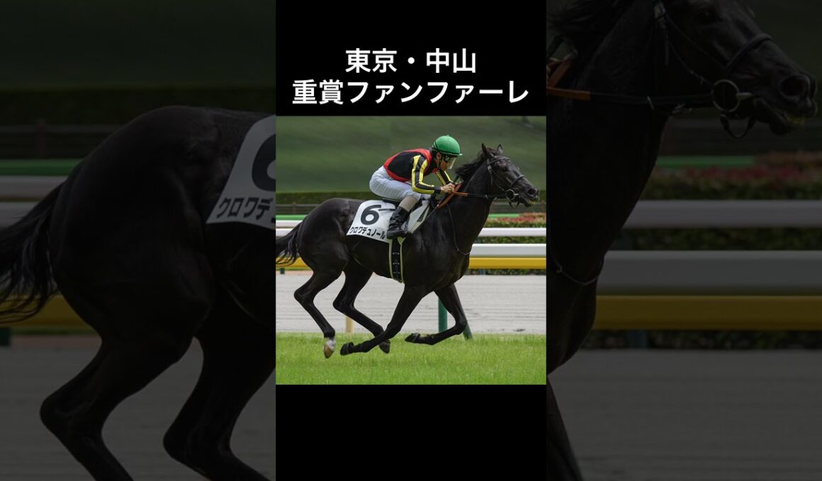 競馬 東京・中山 重賞ファンファーレ　#競馬 #jra #東京競馬場 #中山競馬場 #重賞