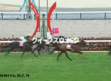 【競馬MAD】ヴィクトリアマイル2025-喧嘩上等／氣志團