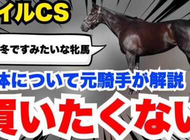 【マイルCS】この馬体じゃ買えない！何故買えないか勘違いしてる方も多いので元騎手が解説します