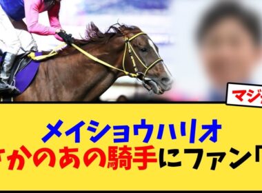 メイショウハリオまさかのあの騎手にファン｢え｣【競馬反応集】