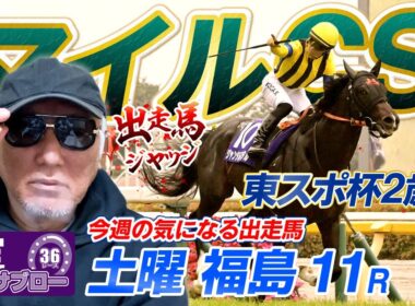 【マイルCS】【東スポ杯2歳S】出走馬ジャッジ