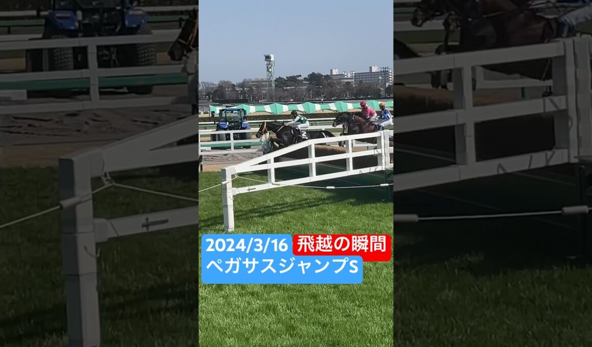 #ペガサスジャンプS #中山競馬場 #ビレッジイーグル #オジュウチョウサン