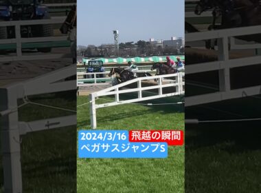 #ペガサスジャンプS #中山競馬場 #ビレッジイーグル #オジュウチョウサン