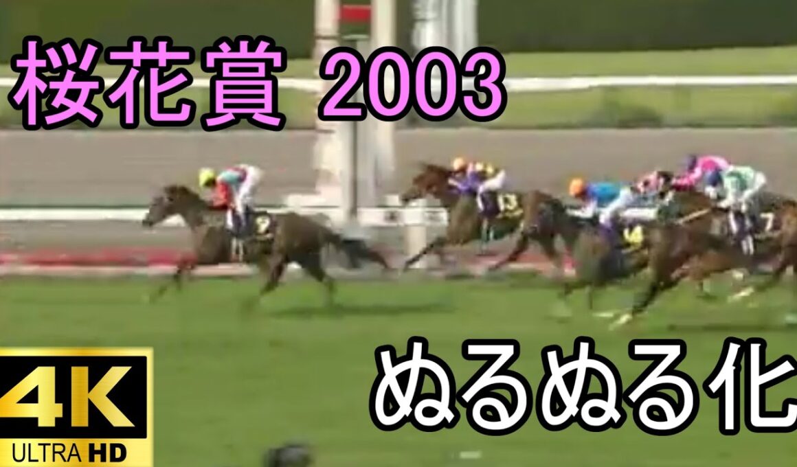 スティルインラブ 桜花賞 2003 ぬるぬる化で見よう conv to 60fps