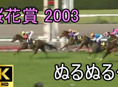 スティルインラブ 桜花賞 2003 ぬるぬる化で見よう conv to 60fps
