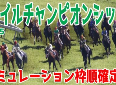 枠順確定！【マイルCS2025・予想】シミュレーション マイルGI連覇を狙うジャンタルマンタルは7枠15番！昨年の覇者ソウルラッシュは8枠17番！ガイアフォースは3枠6番！【マイルチャンピオンシップ】