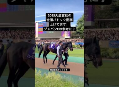 2025ジャパンカップの予想に天皇賞秋の全頭パドック動画ご参考にどうぞ！　#マスカレードボール #ジャスティンパレス #タスティエーラ #ブレイディベーグ #ホウオウビスケッツ #セイウンハーデス