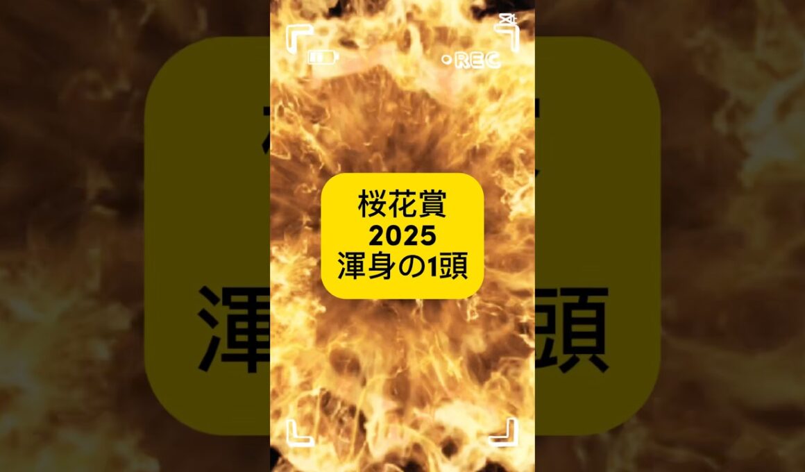 桜花賞の渾身の1頭は想定７番人気のクリノメイです！天候は気になるところですが皆さんの本命は？？#桜花賞#桜花賞2025#競馬#競馬予想動画 #中央競馬予想 #渾身の1頭
