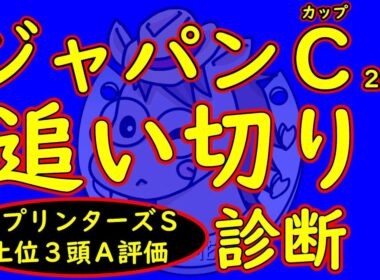 ジャパンカップ2025追い切り診断！クロワデュノールが出走表明し追い切り状態が気になる所！マスカレードボールやダノンデサイルの状態面はどうか？伏兵馬でやたらと良く見える馬は？