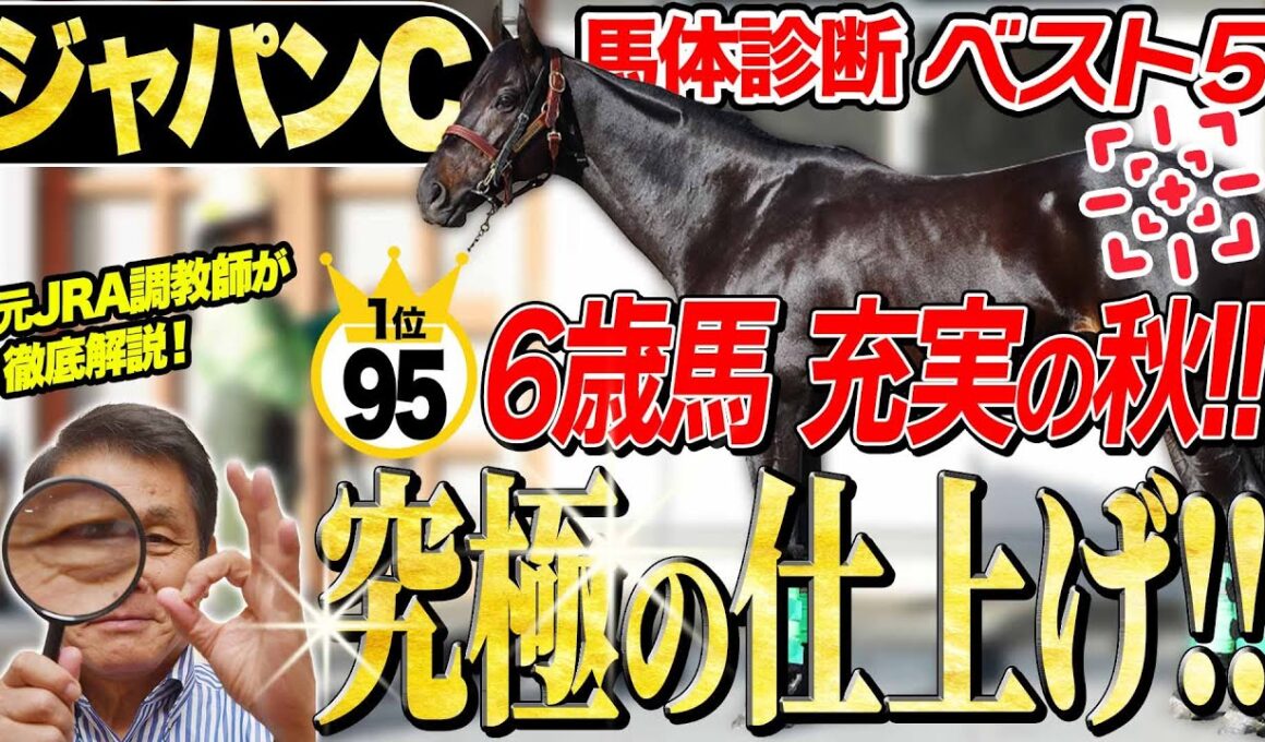 【ジャパンC2025】中村均元調教師が馬体診断ベスト５を発表　あの6歳馬が究極仕上げ！マスカレードボールやカランダガンの評価は？《東スポ競馬》