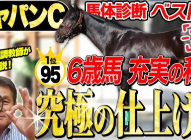 【ジャパンC2025】中村均元調教師が馬体診断ベスト５を発表　あの6歳馬が究極仕上げ！マスカレードボールやカランダガンの評価は？《東スポ競馬》