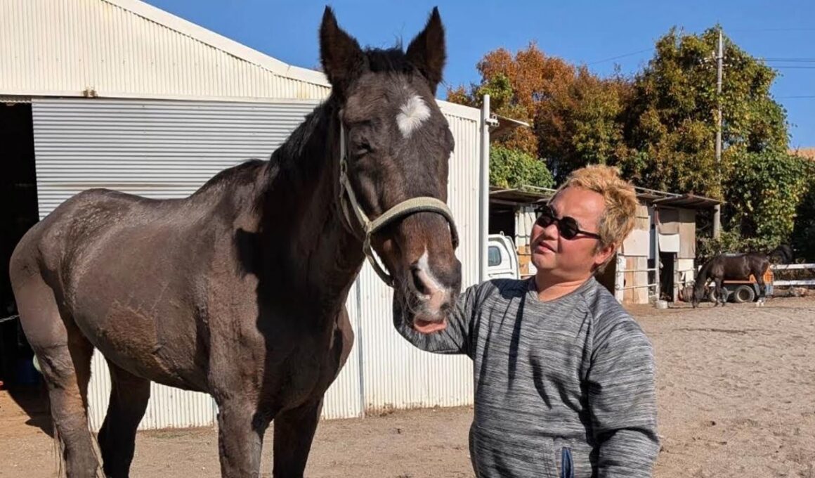 世界一の相棒、ツルマルボーイ様が長い眠りへと旅立ちました。