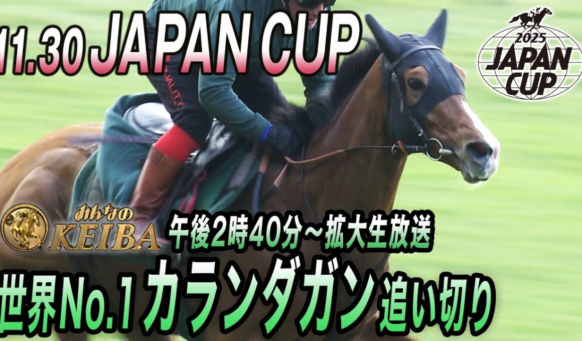 【2025 ジャパンカップ】世界ランキング1位のヨーロッパ王者カランダガン調教・追い切り映像！（6ハロン81・8ー12・2秒）　みんなのKEIBA11月30日午後2時40分拡大生放送
