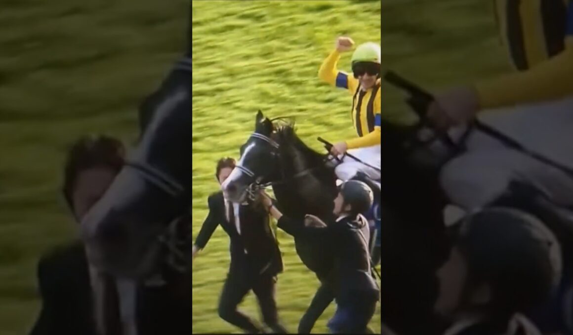 天皇賞・秋2025☆マスカレードボールおめでとう☆#マスカレードボール#天皇賞・秋2025