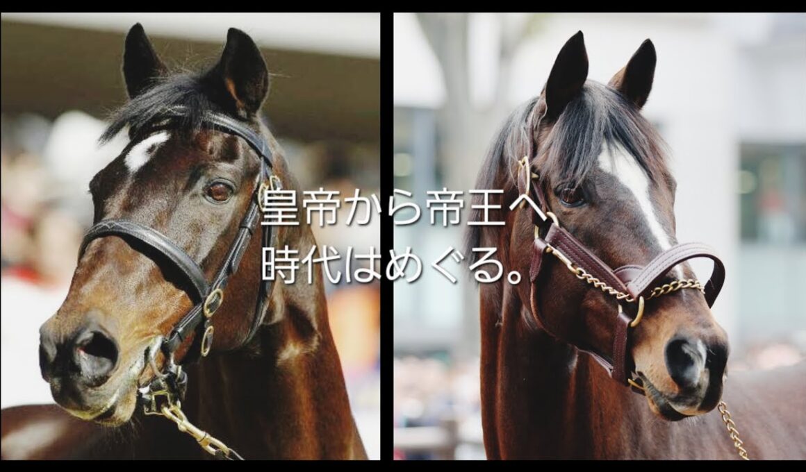 ～ドラマ  ザ・ロイヤルファミリー風に作ってみた②～玉置浩二『 ファンファーレ』×トウカイテイオー『1993年  第38回有馬記念』