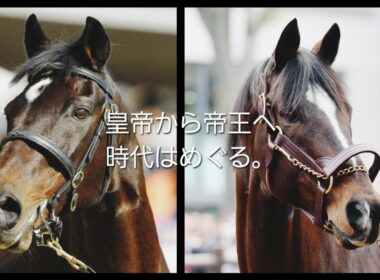 ～ドラマ  ザ・ロイヤルファミリー風に作ってみた②～玉置浩二『 ファンファーレ』×トウカイテイオー『1993年  第38回有馬記念』