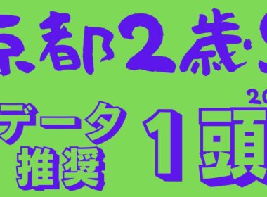 【京都2歳ステークス2025】データ分析｜ここからホープフルＳ、そしてクラシックへ！スローペース濃厚な2歳長距離戦で折り合える一頭