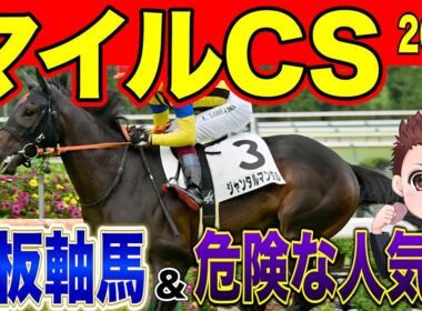 【マイルCS】勝つのはこの馬！絶対に買うべき馬！過去の参考レースや会見の内容・追い切り・シミュレーションから徹底解説！ #競馬 #マイルCS #マイルチャンピオンシップ2025