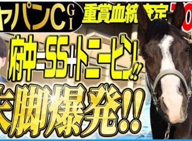 【ジャパンC2025】府中はサンデーサイレンスとトニービンが制す！(坂上明大の重賞血統査定)《東スポ競馬》