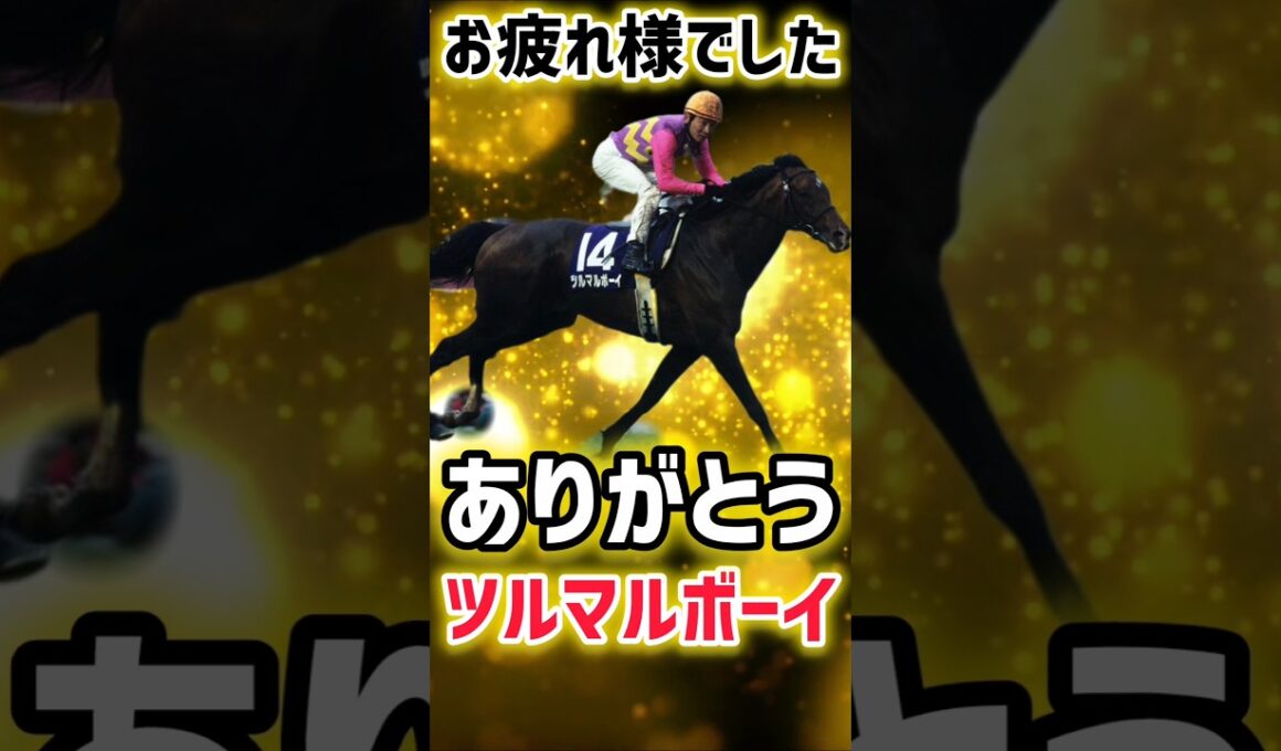 【悲報】2004年安田記念覇者ツルマルボーイ死す！ありがとう！そしてお疲れ様でした！#競馬 #ツルマルボーイ #安田記念 #shorts