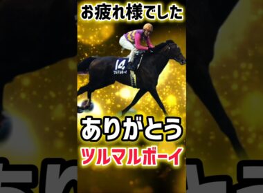 【悲報】2004年安田記念覇者ツルマルボーイ死す！ありがとう！そしてお疲れ様でした！#競馬 #ツルマルボーイ #安田記念 #shorts