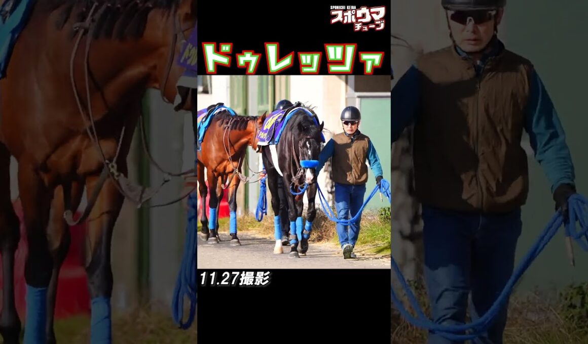 【ジャパンカップ 出走予定】ドゥレッツァ　調教での様子 #shorts