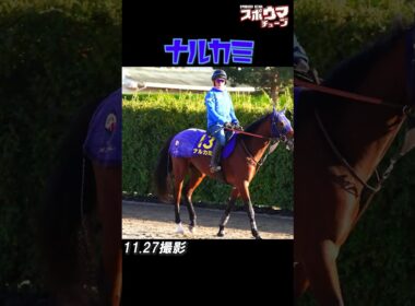 【チャンピオンズC 出走予定】ナルカミ　調教での様子 #shorts