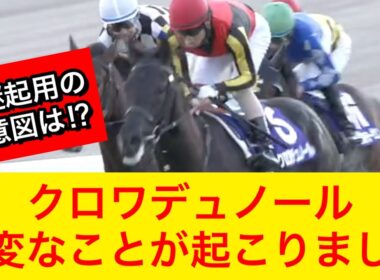 【ジャパンカップ2025】クロワデュノールの最終追い切りで異例の事が起きた！その意図とは何だったのか！？【競馬】