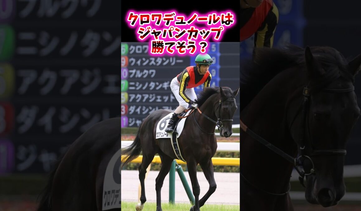 クロワデュノールはジャパンカップ勝てそう？【競馬反応集】#ジャパンカップ　#クロワデュノール　#マスカレードボール