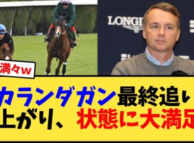 【ジャパンカップ2025】カランダガン最終追い仕上がり、状態に大満足w【競馬反応集】【競馬反応集】