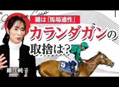 【ジャパンカップ2025】欧州最強馬・カランダガン参戦！ 海外馬の好走条件とは/細江純子