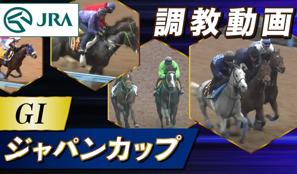 【調教動画】2025年 ジャパンカップ｜JRA公式