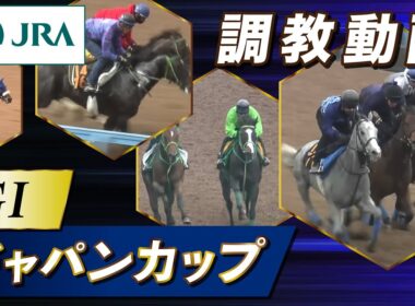 【調教動画】2025年 ジャパンカップ｜JRA公式